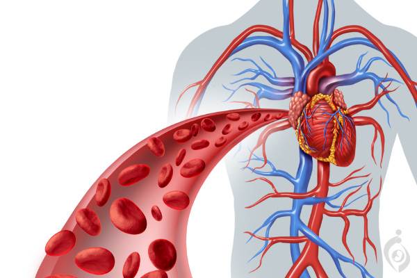 بیماری های ژنتیکی قلب، عروق، خون و سیستم ایمنی