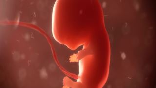نقش ژنوم جنین در زایمان زودرس