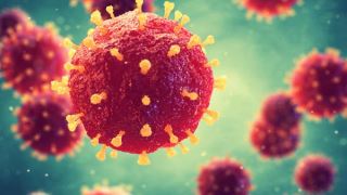 ویروس سرماخوردگی اینبار در نقش درمان سرطان مثانه