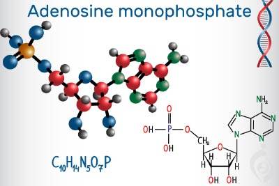 نقص آدنوزین مونوفسفات د آمیناز