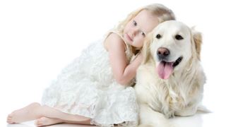 دوستدار حیوانات باشیم : نگهداری سگ با سلامت بهتر قلب و عروق مرتبط است
