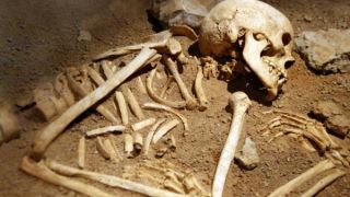 پژوهشگران می‌گویند جسد انسان تا یک سال پس از مرگ حرکت می‌کند