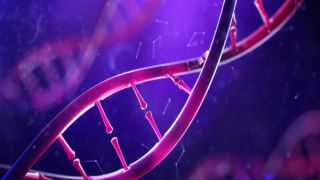 نقش تفاوت DNA در ابتلا به بیماریهای ایمنی