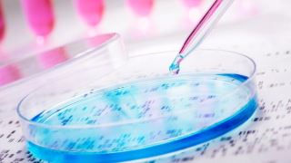 آزمایش های ژنتیکیِ مجموعه‌های تحقیقاتی چقدر با آزمایش های ژنتیکی بالینی فرق دارند؟