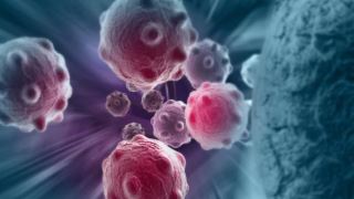 داروی جدید سرطان با اثر بر روی یک جهش ژنتیکی تومور ها را کوچک می کند