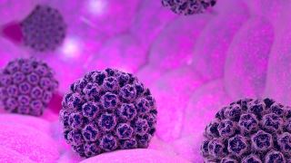 زگیل تناسلی و ارتباط آن با آزمایش HPV چیست؟