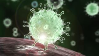 ویروس کرونا با بدن انسان چه می کند؟