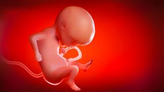 تعیین دقیق جنسیت جنین از خون مادر