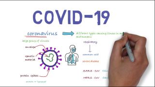 ویروس کرونا چیست؟ انواع مختلف coronaviruses