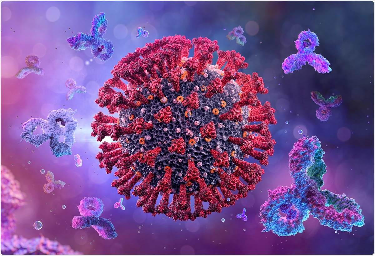 واکسن Pizer-BioNTech COVID-19 پاسخ آنتی بادی میزبان قوی را ایجاد می کند