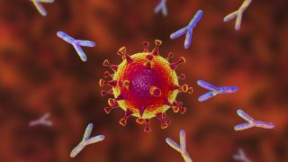 نقش سلول های T در عفونت ویروس کرونا چیست؟