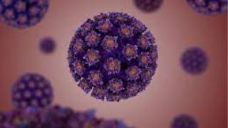 ویروس اچ پی وی نوع 6 (HPV 6)