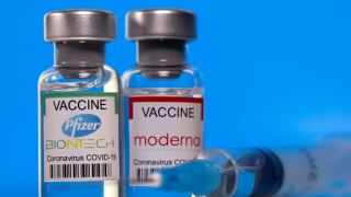 توسعه واکسن فایزر ویروس کرونا