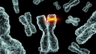 راههای مختلف به ارث بردن شرایط ژنتیکی چیست؟