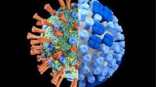 هرآنچه که باید از شباهت ها و تفاوت های ویروس کرونا با آنفولانزا بدانید!