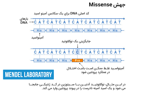 جهش بد معنی missense