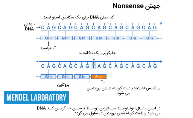 جهش بی معنی nonsense