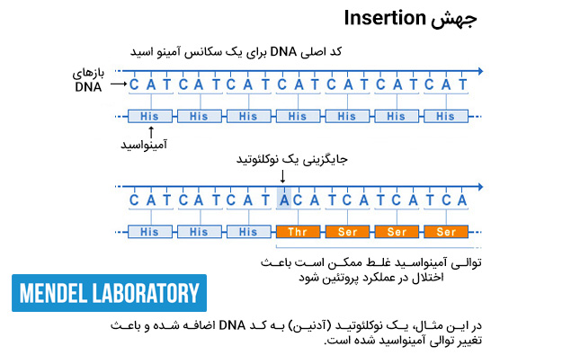 insertion جهش درج یا اضافه شدن