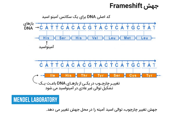 Frameshift تغییر در چارچوب