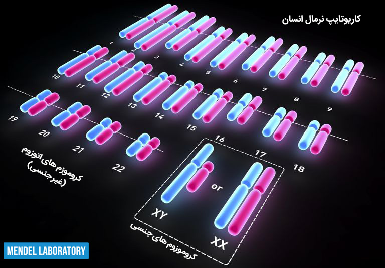 کاریوتایپ