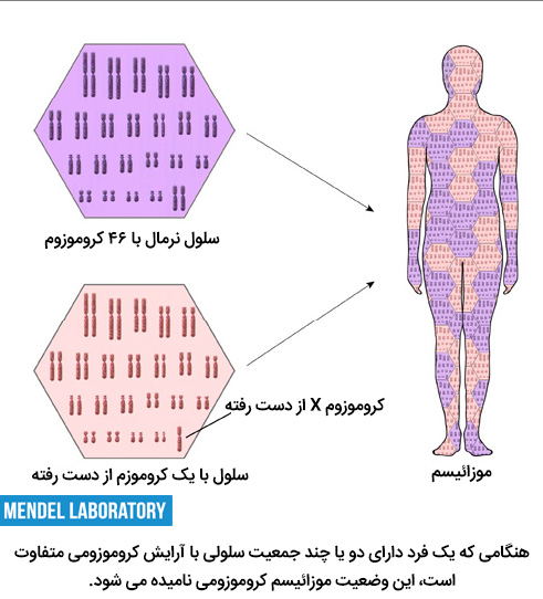 موزاییک موزائیسم