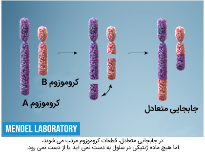 ترانسلوکاسیون، جابجایی