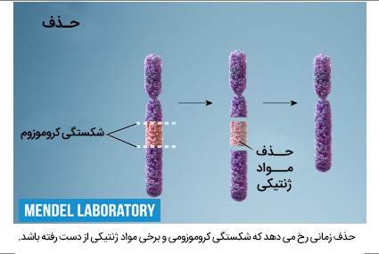 حذف کروموزومی