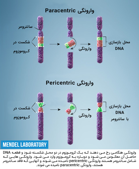 واژگونی یا وارونگی