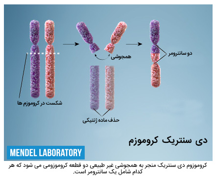 کروموزوم دی سانتریک