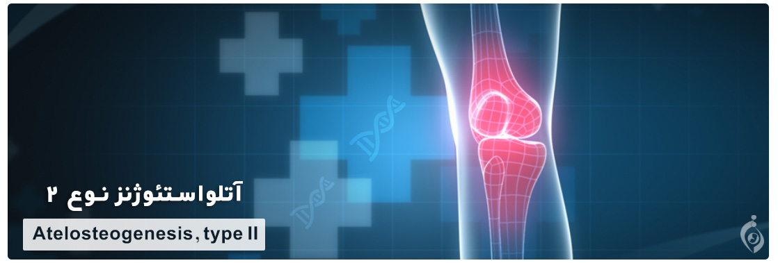 Atelosteogenesis type 2