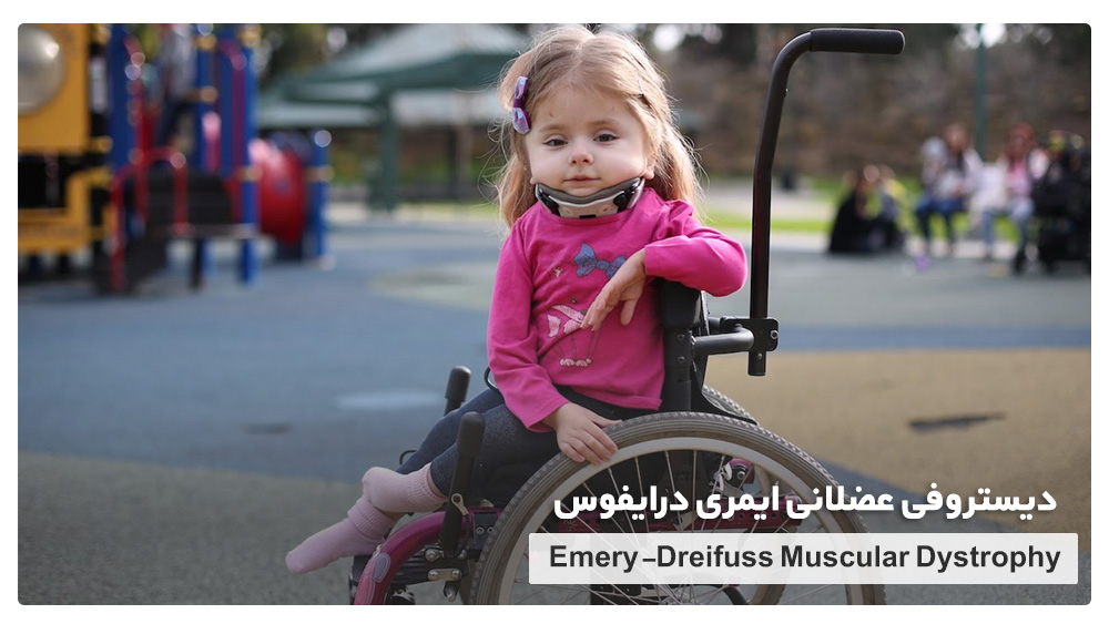 Emery-Dreifuss Muscular Dystrophy