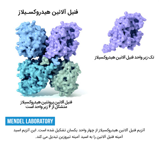 فنیل آلانین هیدروکسیلاز