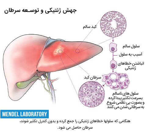 سرطان زایی