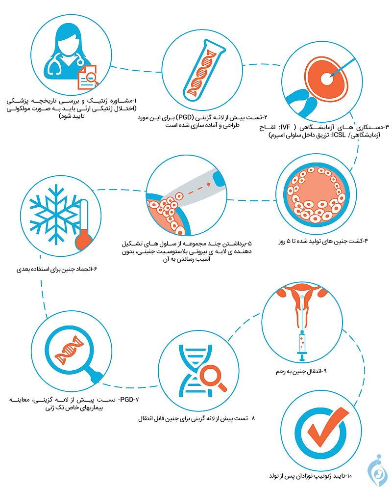 مراحل pgd