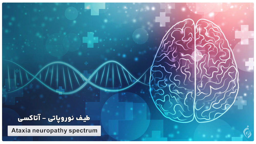 Ataxia neuropathy spectrum