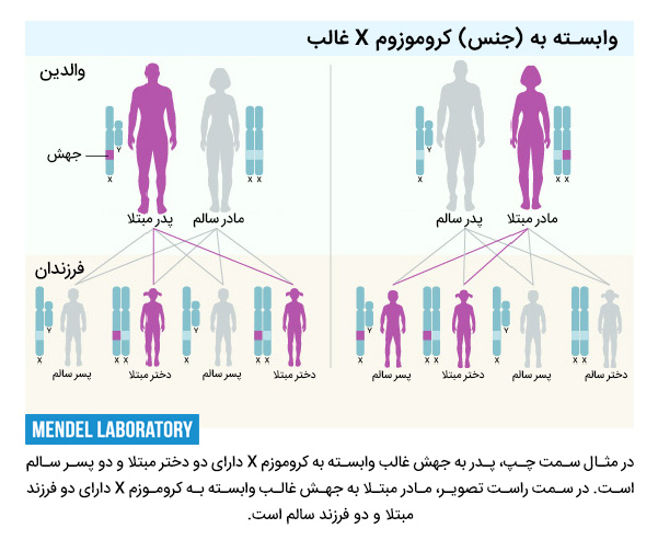 غالب وابسته به x