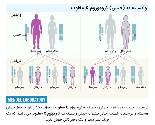 وابسته به X مغلوب