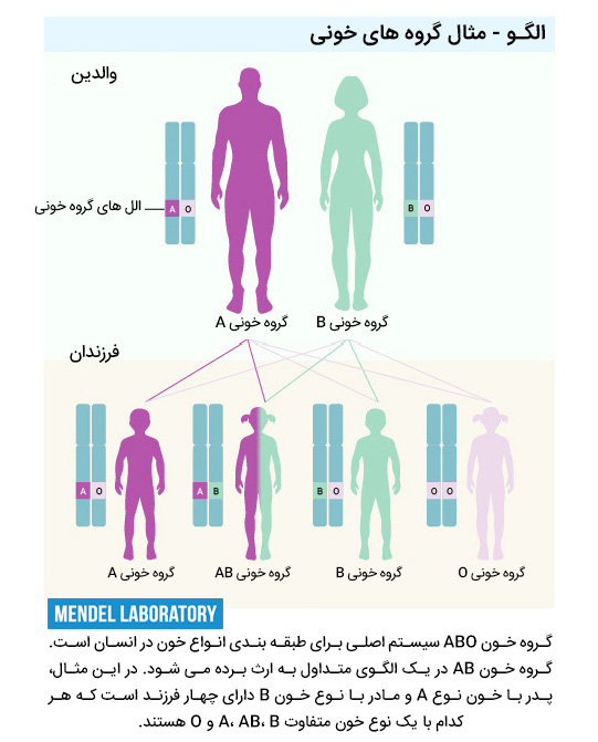 وراثت هم بارز: