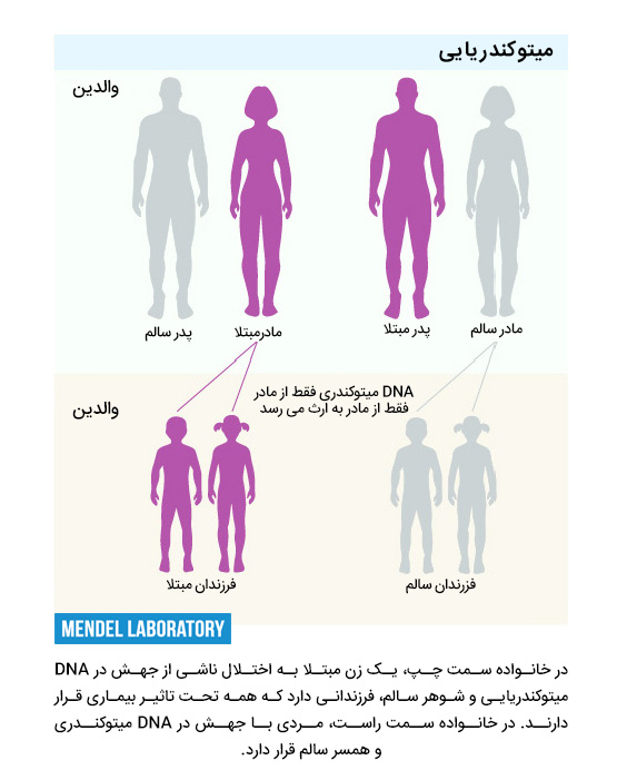 وراثت میتوکندریایی