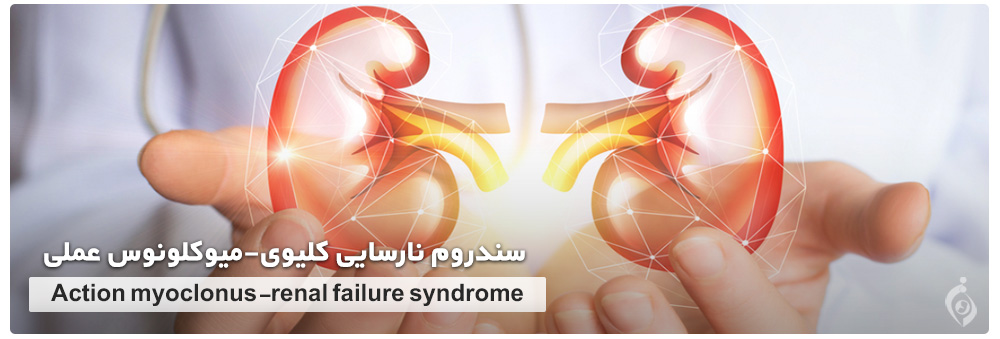 Action myoclonus-renal failure syndrome