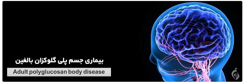 Adult polyglucosan body disease