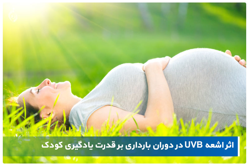 اثر اشعه UVB در دوران بارداری بر قدرت یادگیری کودک