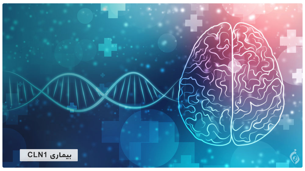 بیماری CLN1