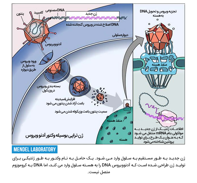 ژن درمانی