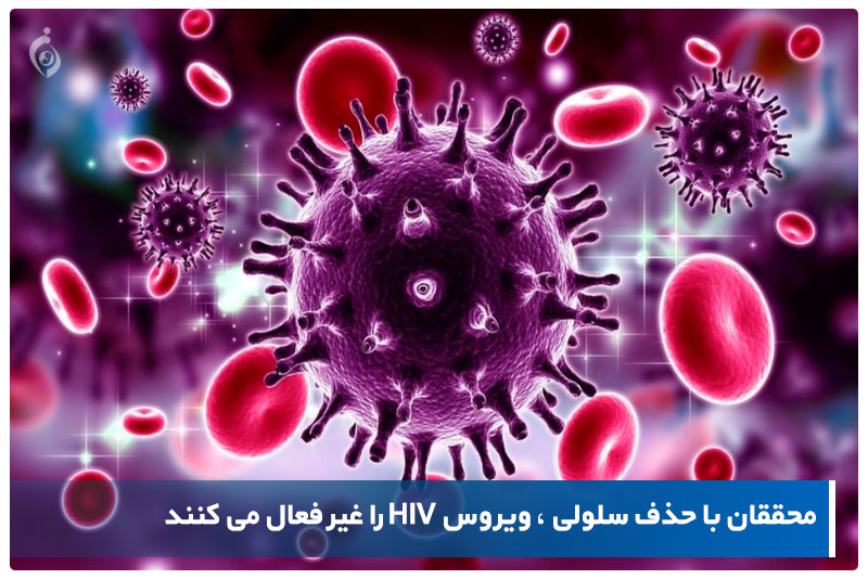 ویروس HIV