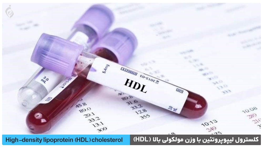 کلسترول لیپوپروتئین با وزن مولکولی بالا (HDL)