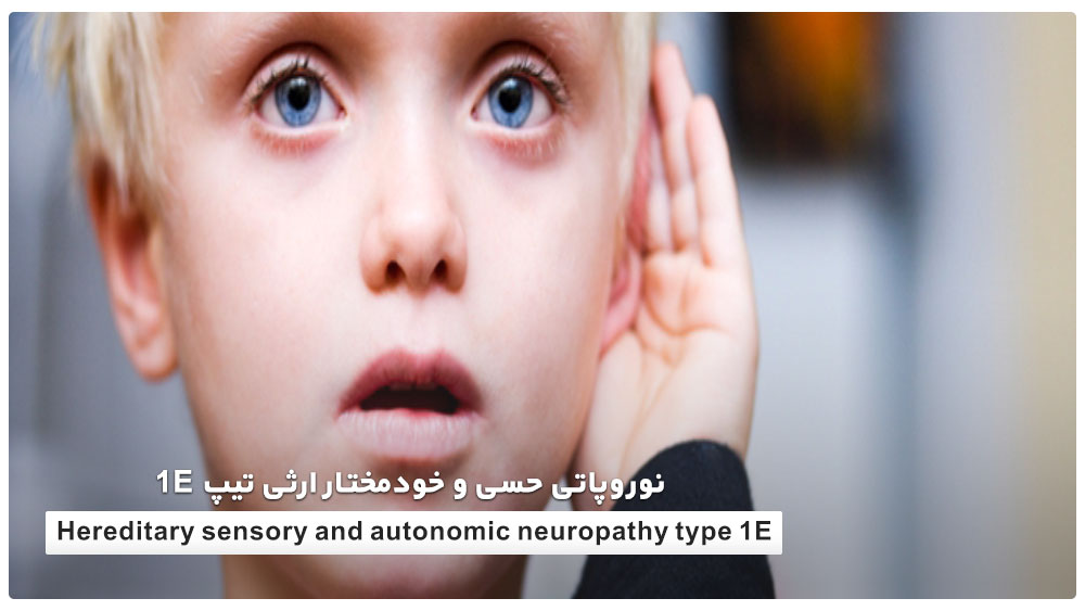 Hereditary sensory and autonomic neuropathy type 1E