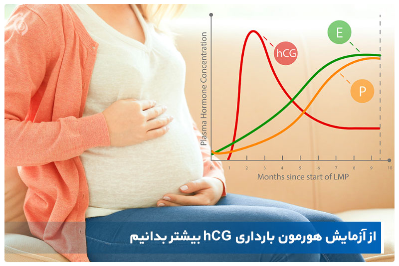 هورمون بارداری hCG