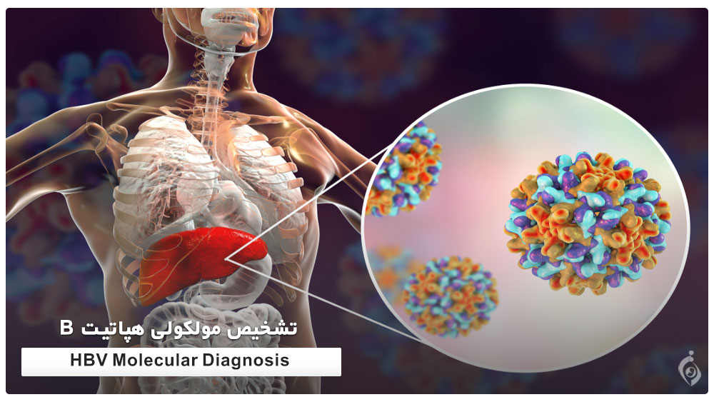 تشخیص مولکولی هپاتیت B