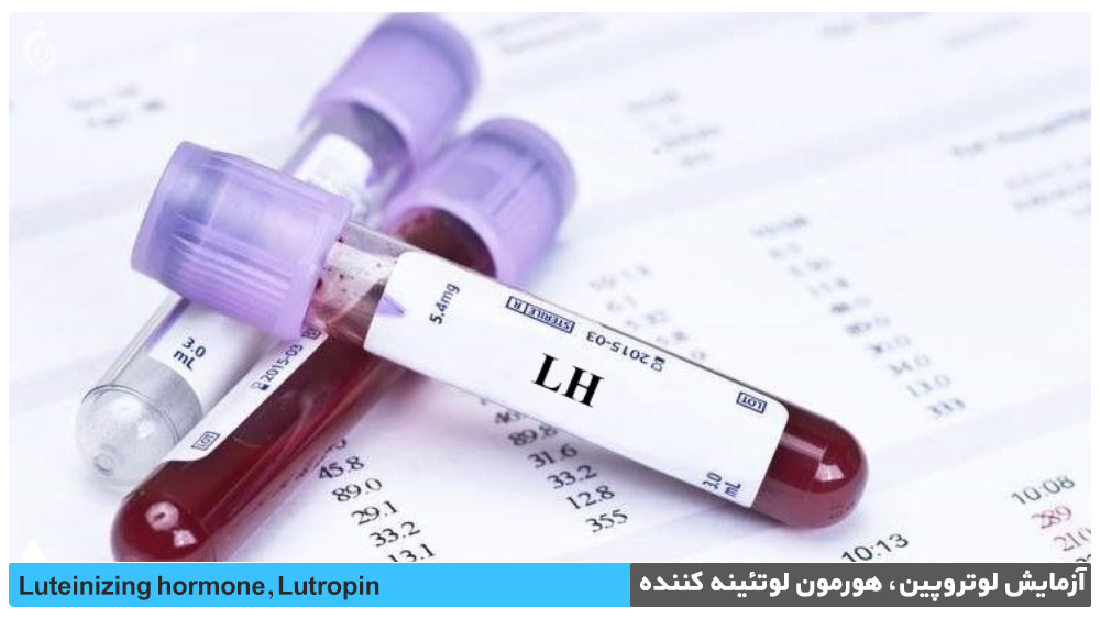 آزمایش لوتروپین، هورمون لوتئینه کننده (LH)
